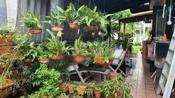 Wei Min Garden (D16), Semi-Detached #458858361